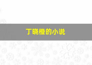 丁晓橙的小说