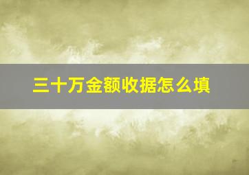 三十万金额收据怎么填