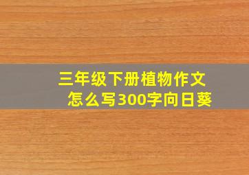 三年级下册植物作文怎么写300字向日葵