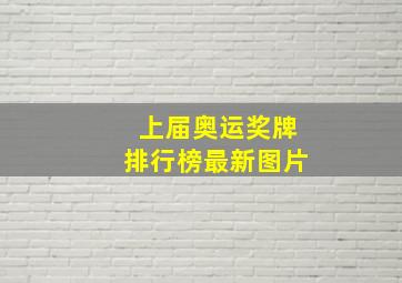 上届奥运奖牌排行榜最新图片