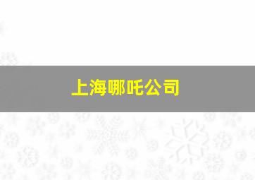 上海哪吒公司