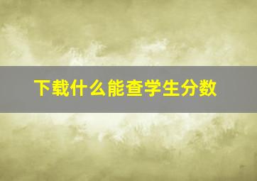 下载什么能查学生分数