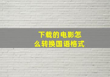 下载的电影怎么转换国语格式