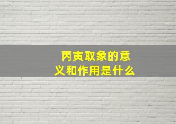 丙寅取象的意义和作用是什么