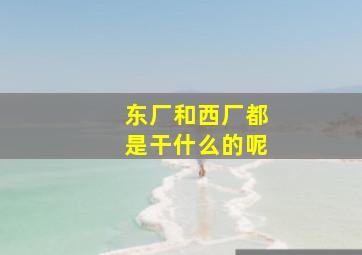 东厂和西厂都是干什么的呢