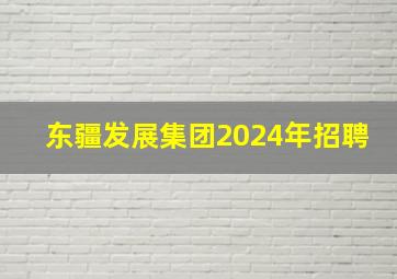 东疆发展集团2024年招聘