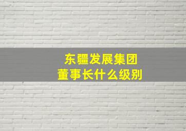 东疆发展集团董事长什么级别