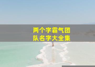 两个字霸气团队名字大全集