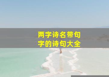 两字诗名带句字的诗句大全