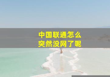 中国联通怎么突然没网了呢