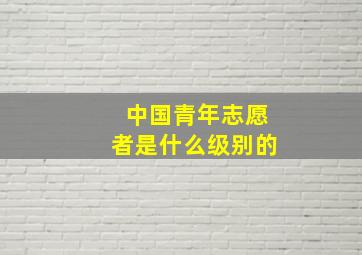 中国青年志愿者是什么级别的