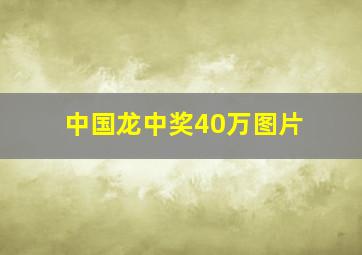 中国龙中奖40万图片