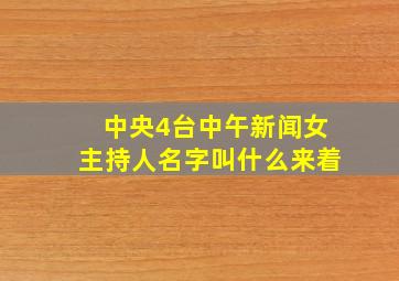 中央4台中午新闻女主持人名字叫什么来着