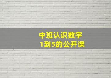 中班认识数字1到5的公开课