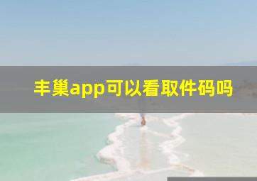 丰巢app可以看取件码吗