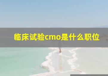 临床试验cmo是什么职位