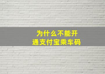 为什么不能开通支付宝乘车码