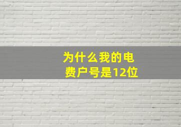 为什么我的电费户号是12位