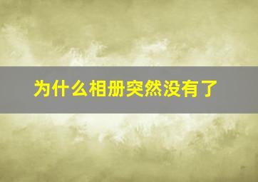 为什么相册突然没有了