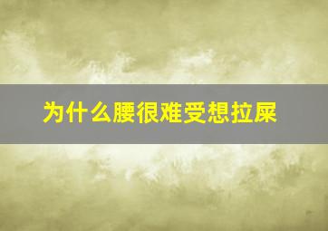 为什么腰很难受想拉屎