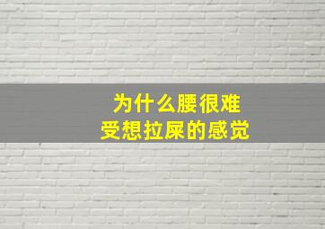 为什么腰很难受想拉屎的感觉