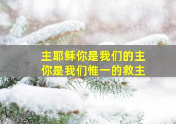 主耶稣你是我们的主你是我们惟一的救主