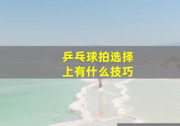 乒乓球拍选择上有什么技巧