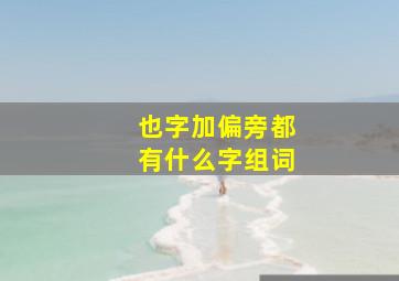 也字加偏旁都有什么字组词