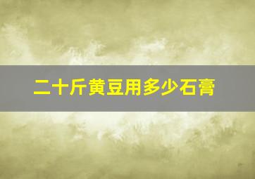 二十斤黄豆用多少石膏