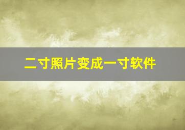 二寸照片变成一寸软件