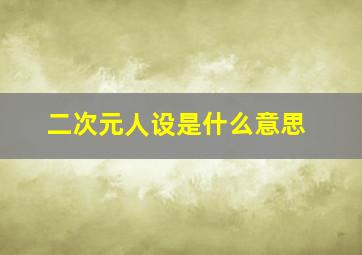 二次元人设是什么意思