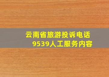 云南省旅游投诉电话9539人工服务内容