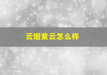 云烟紫云怎么样