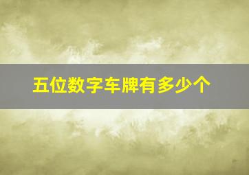 五位数字车牌有多少个