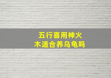 五行喜用神火木适合养乌龟吗