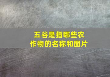 五谷是指哪些农作物的名称和图片