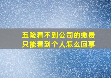 五险看不到公司的缴费只能看到个人怎么回事