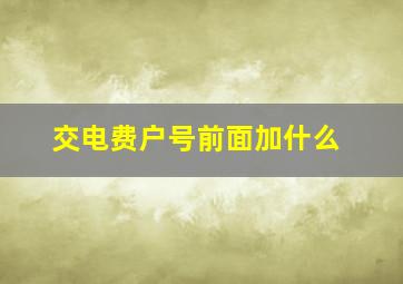 交电费户号前面加什么