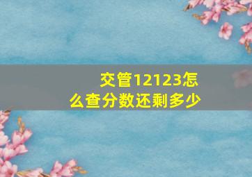 交管12123怎么查分数还剩多少