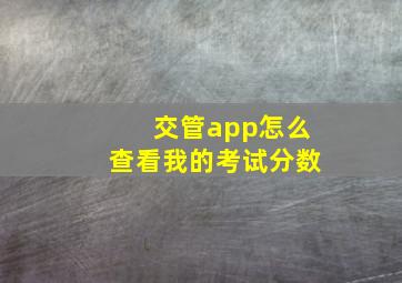 交管app怎么查看我的考试分数