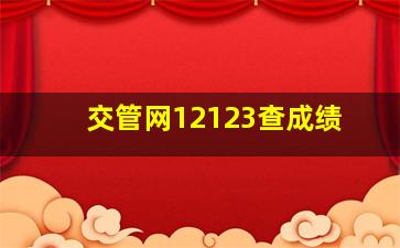 交管网12123查成绩