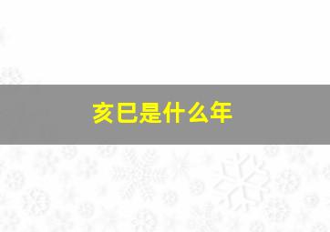 亥巳是什么年