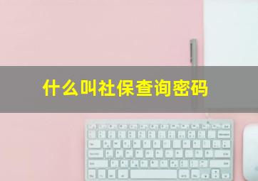 什么叫社保查询密码