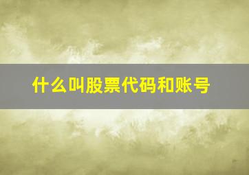 什么叫股票代码和账号