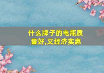 什么牌子的电瓶质量好,又经济实惠