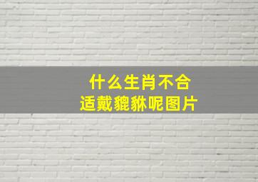 什么生肖不合适戴貔貅呢图片