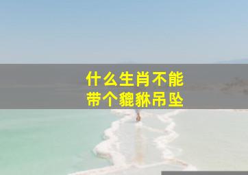 什么生肖不能带个貔貅吊坠