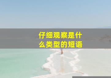 仔细观察是什么类型的短语