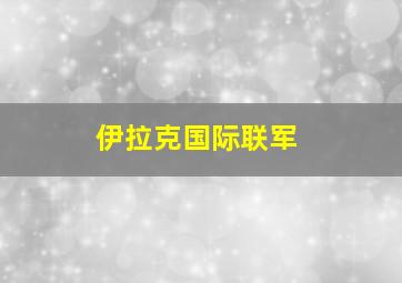 伊拉克国际联军