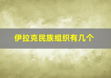 伊拉克民族组织有几个